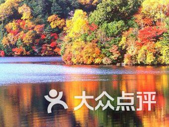 小僵尸消消看